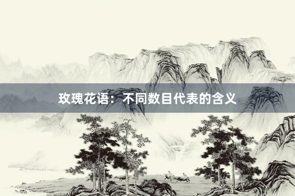玫瑰花语：不同数目代表的含义