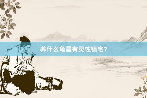 养什么龟最有灵性镇宅？